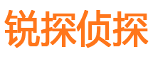 双江市私家侦探